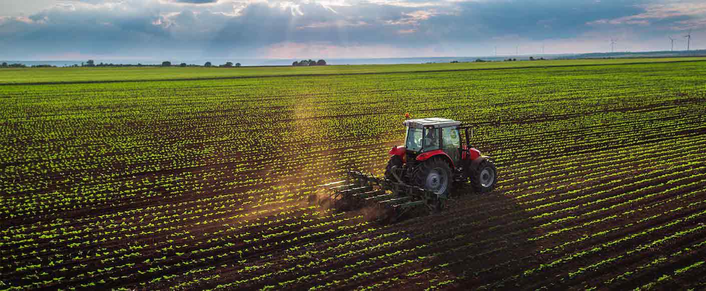 From Farm to Fork